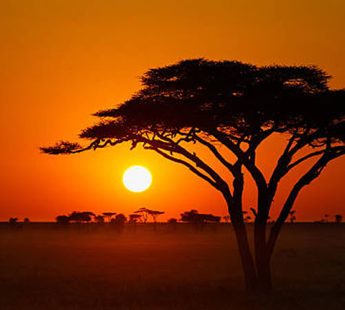 Travel the Most Beautiful Places in the East Africa